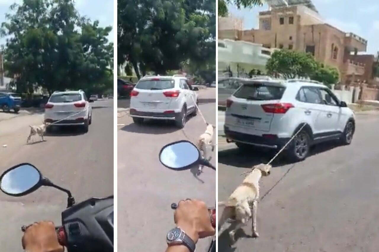 ஒரு டாக்டர் செய்யுற வேலையா இது..!! காரில் நாயை கட்டி இழுத்துச் சென்ற கொடூரம்..!!