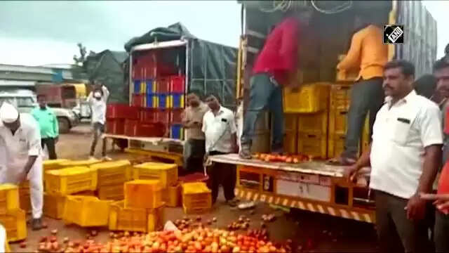 தக்காளி கடும் விலை வீழ்ச்சி... சாலையில் கொட்டி சென்ற விவசாயிகள்: வைரலான வீடியோ!!