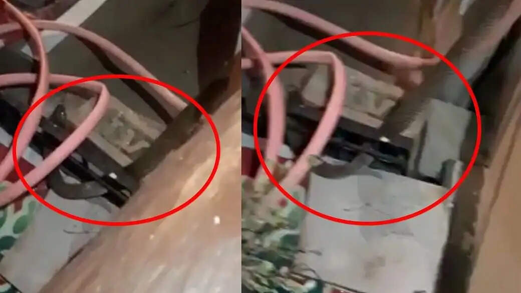 பார்சல் பெட்டியில் இருந்து படமெடுத்த நல்ல பாம்பு; அதிர்ச்சியில் உறைந்த போன குடும்பத்தினர்!