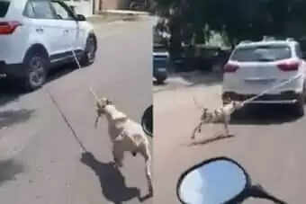 மனிதநேயம் இல்லாத டாக்டர்..!! சைக்கோ மருத்துவரின் வெறிச்செயலை பாருங்க..!!