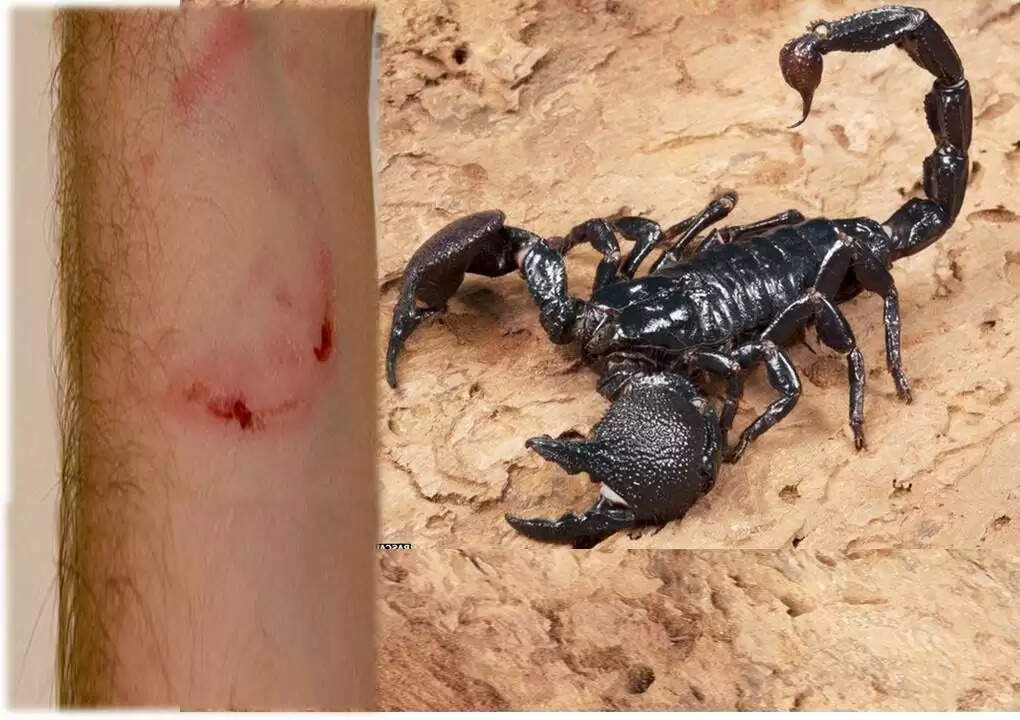 பள்ளி மைதானத்தில் விளையாடிக் கொண்டிருந்த 8 வயது மாணவி துடிதுடித்து பலி..!!