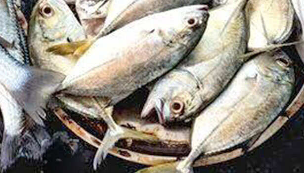 தொடரும் உணவு சர்ச்சை..!! மீன் சாப்பிட்ட 4 பேர் மருத்துவமனையில் அனுமதி..!!