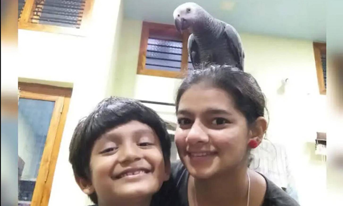 இதுதான் அடையாளம்.. கிளியை கண்டுபிடித்து கொடுத்தால் ரூ.50,000 பரிசு